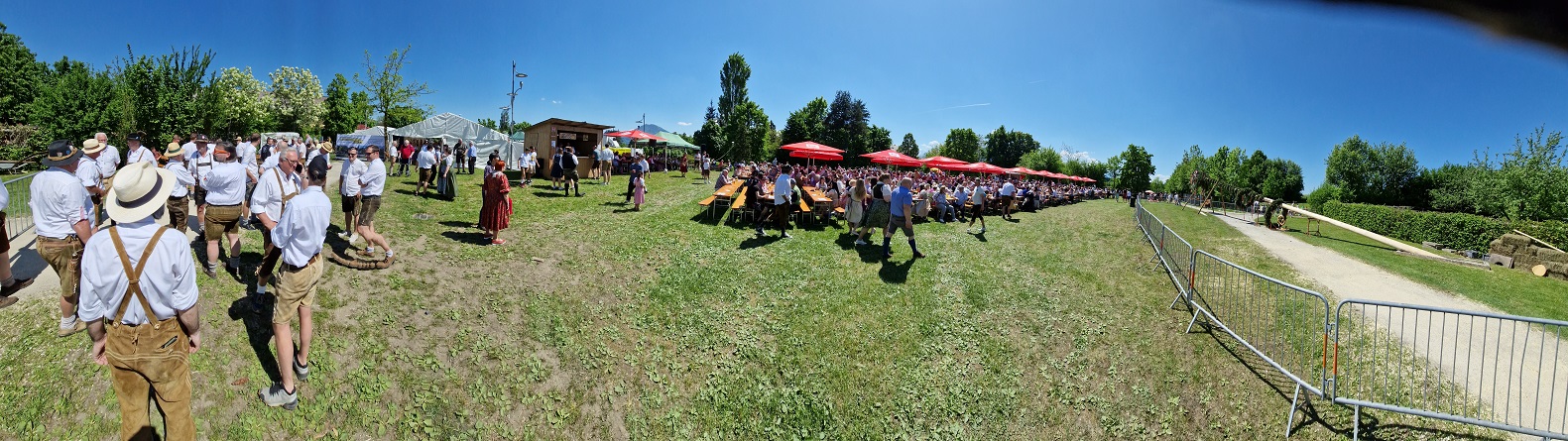 Maibaum aufstellen in Liefering 2025